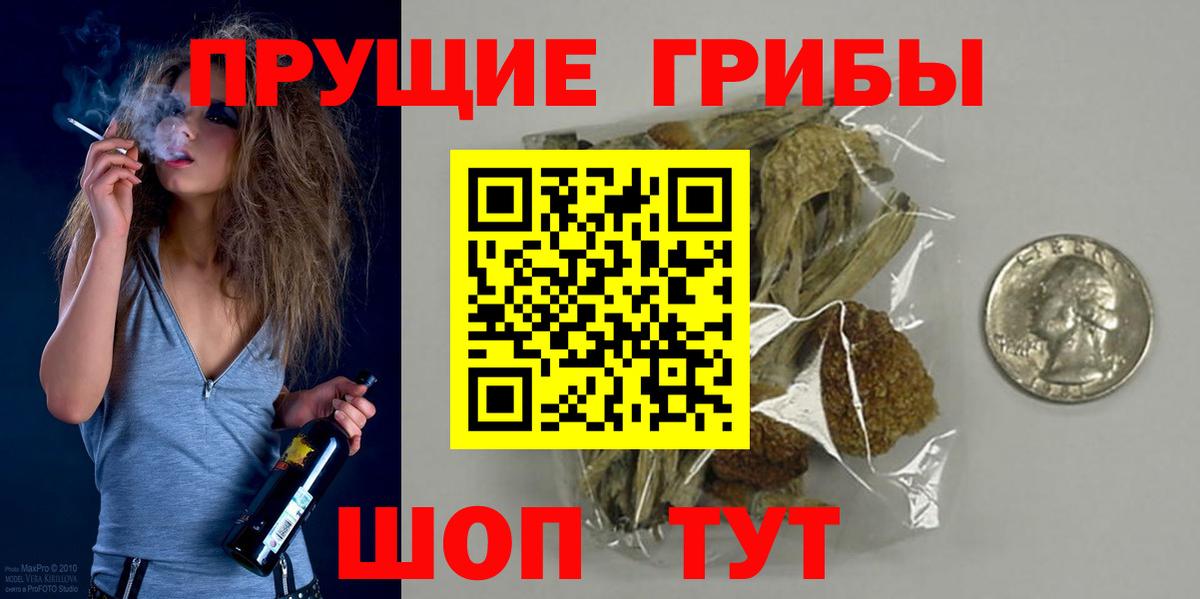 Псилоцибиновые грибы мицелий Тулун